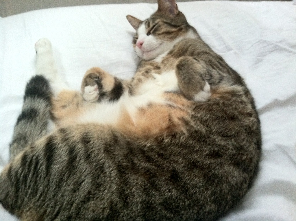 开云体育app-统治级表现！贝恩狂轰40+10助湖人掀翻广厦