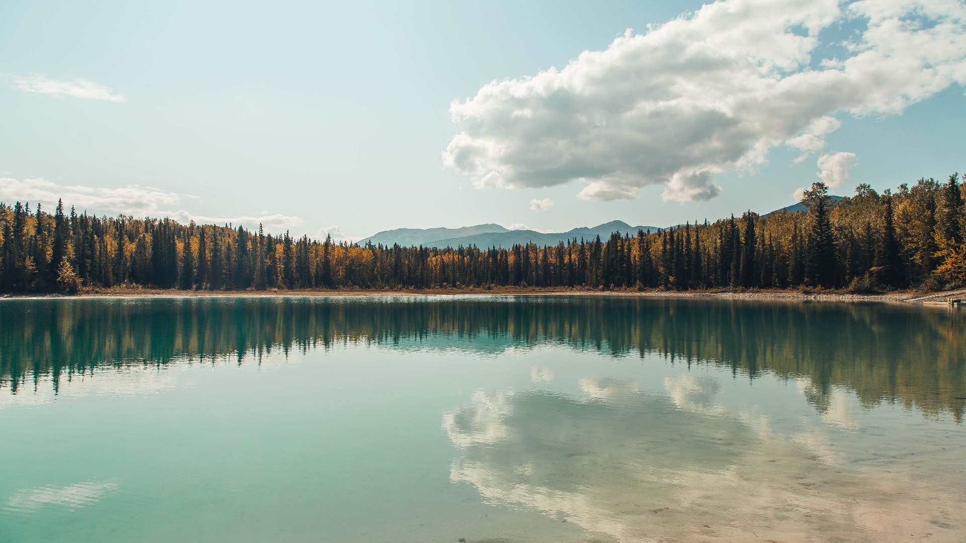 替补奇兵格纳布里，登场54秒那一刀，斩断了所有悬念