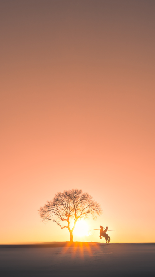 平行赛场，东决战火与南美风暴的交汇之夜