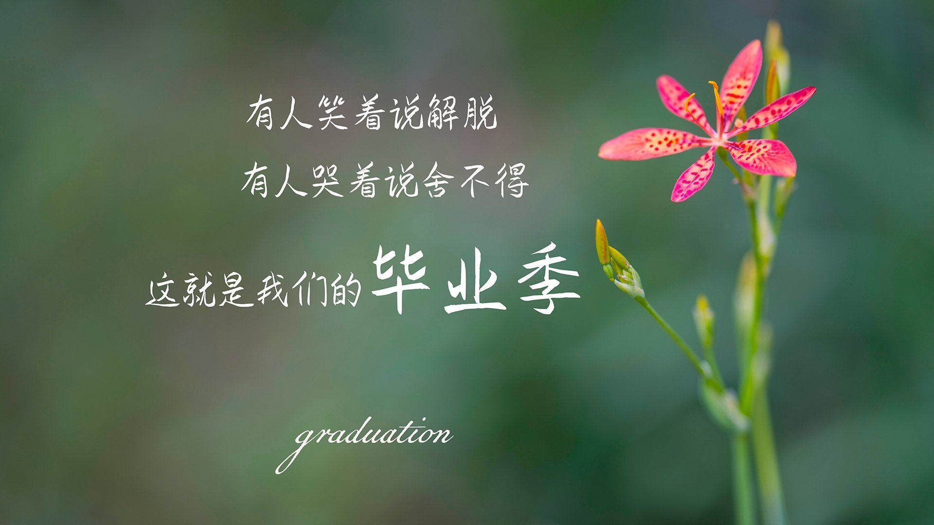 京多安独造三球导演逆转好戏,哥斯达黎加团队风暴一波带走阿森纳