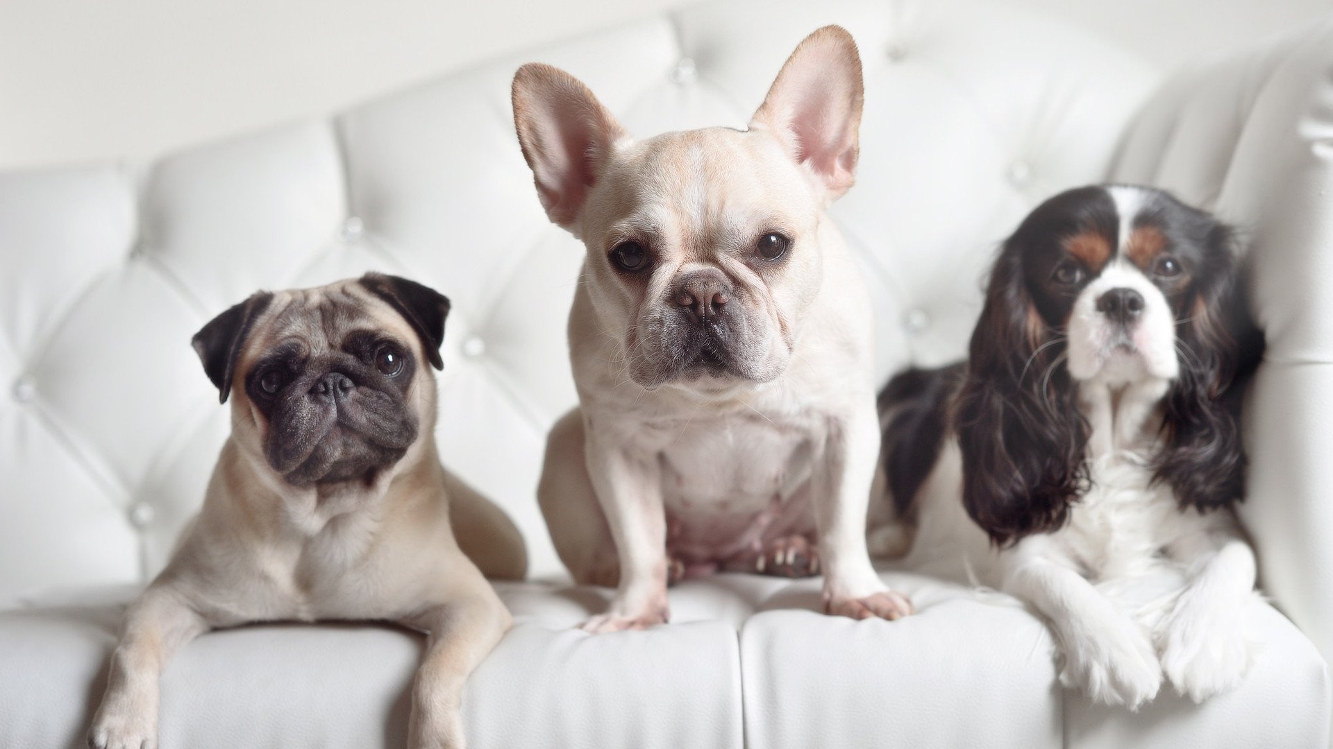 开云体育app-逆鳞与巨塔，武切维奇狂澜下的京粤决胜启示录