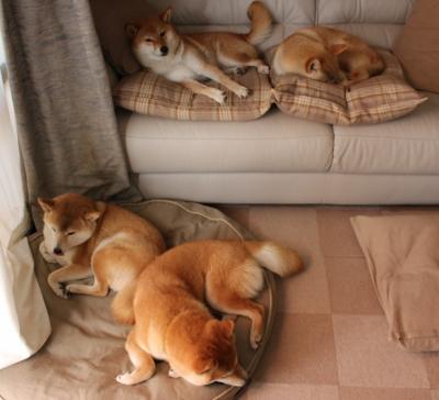 东方巨龙对阵红色旋风，小贾伦用防守交响乐征服跨洲赛场