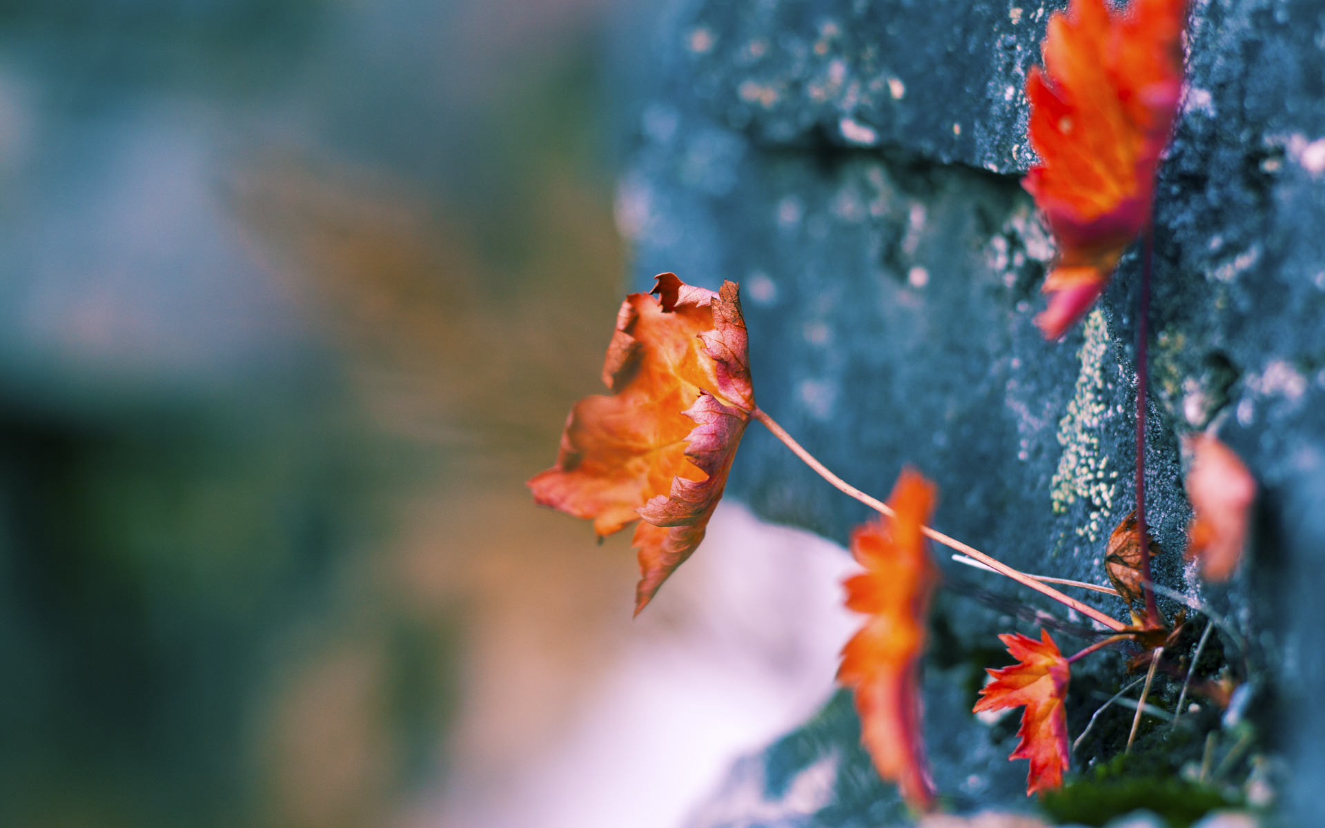 开云体育-北欧冰刃与伊比利亚钢盾，跨越时空的绿茵统治力