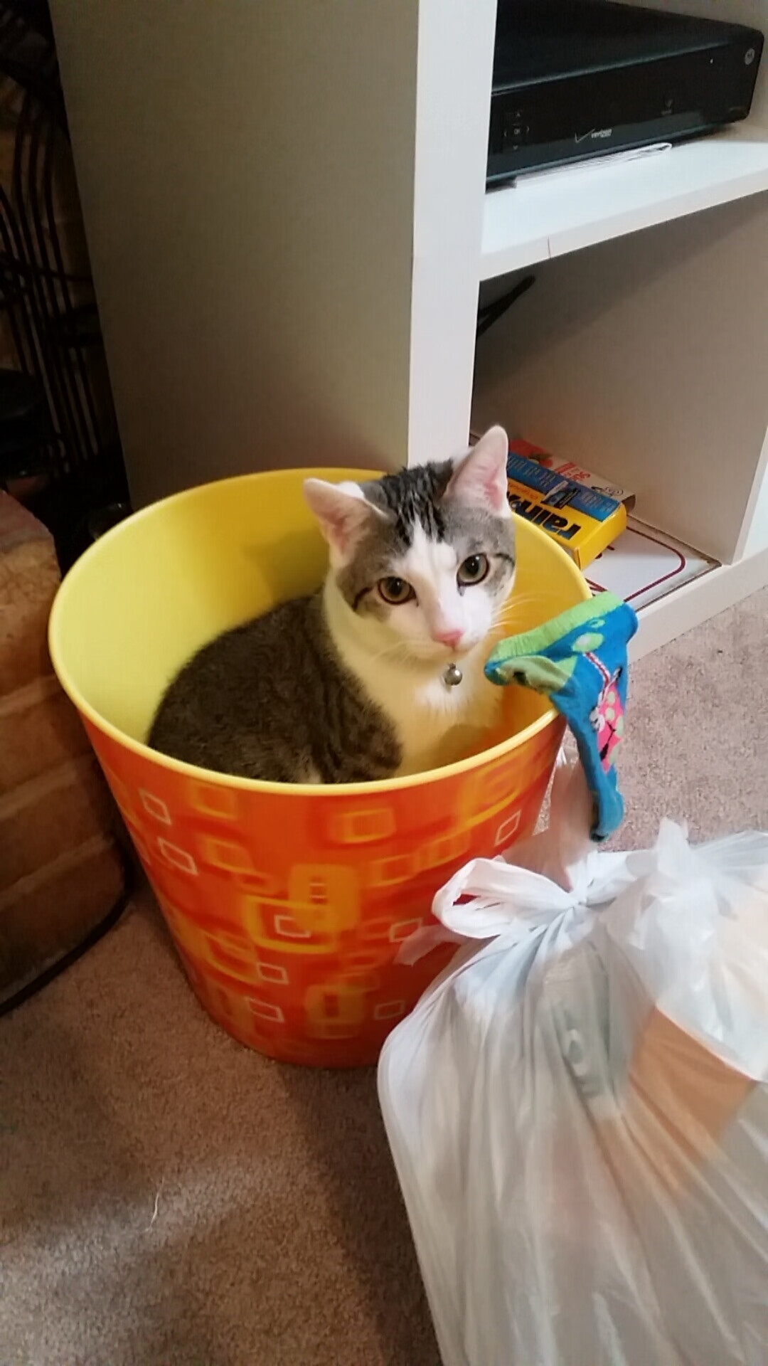 开云体育在线-怒弑旧主！德罗赞制胜一击轰碎马刺，猛龙主场见证背叛者的救赎