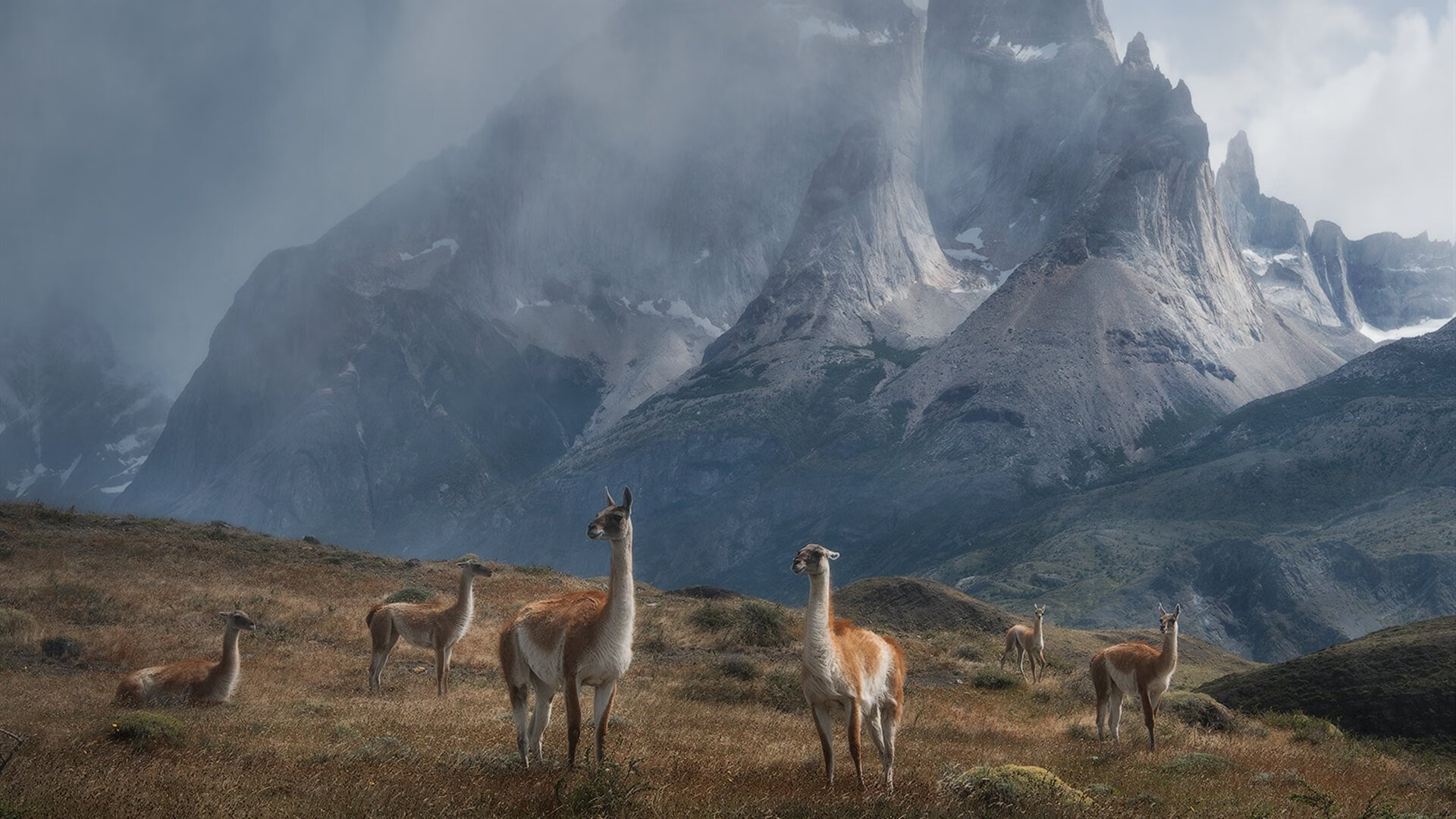 黑马踏碎星辰，几内亚击溃哥伦比亚，年度焦点之战如何改写了现代足球的胜利公式？