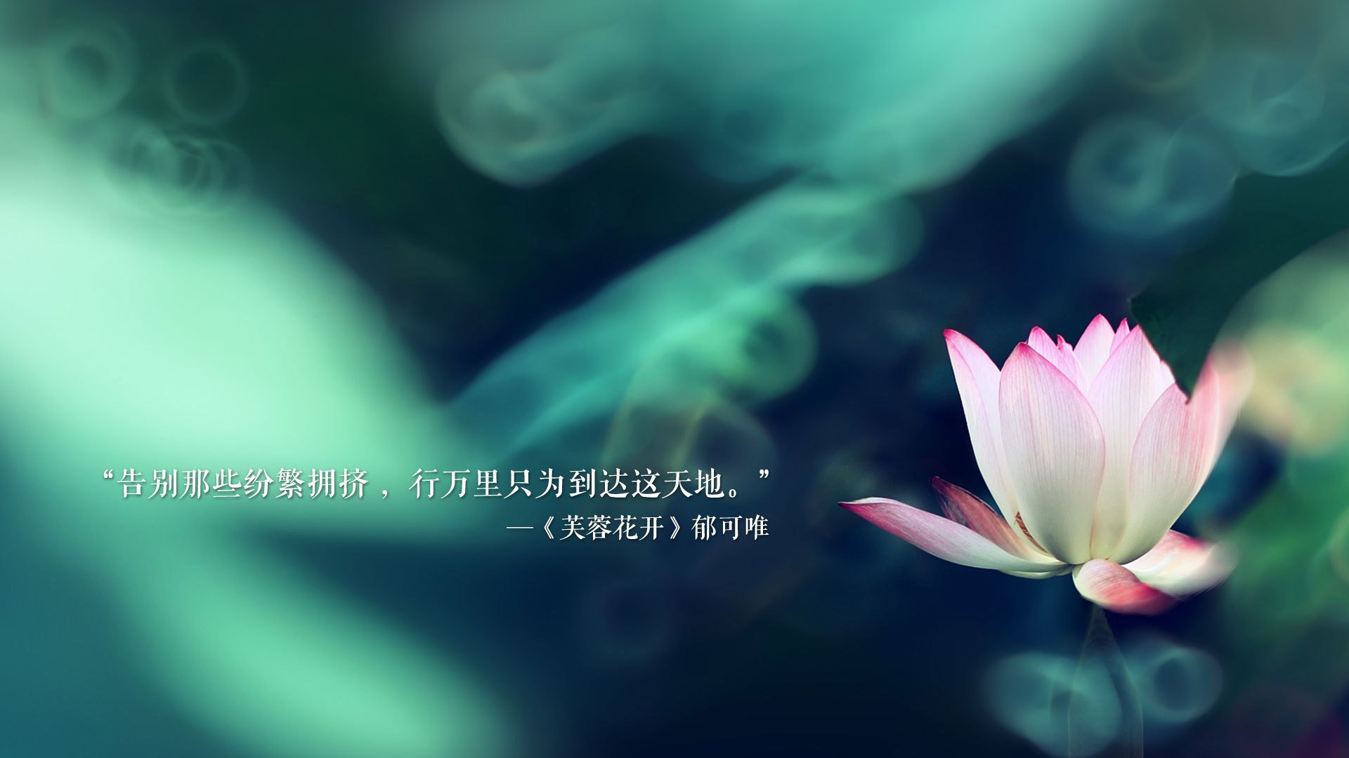 开云体育平台APP-孤星耀世，桑巴狂舞，2026世界杯A组，37岁C罗独造三球，智利绝境逆转塞尔维亚，书写不朽传奇