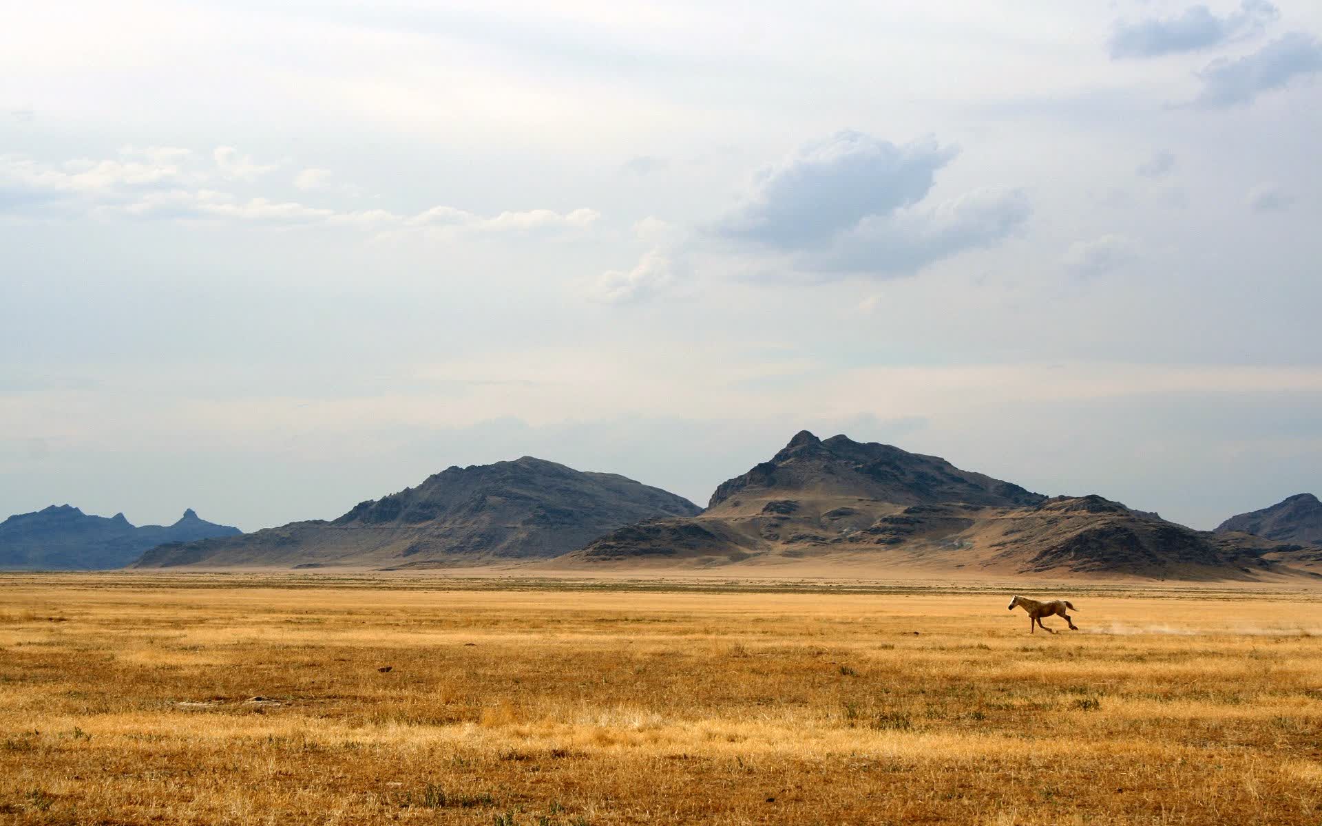开云体育入口-天降波斯铁骑，吉鲁加冕穿西装的核弹头，伊朗三刀斩落智利，书写A组死亡之组最狂野剧本