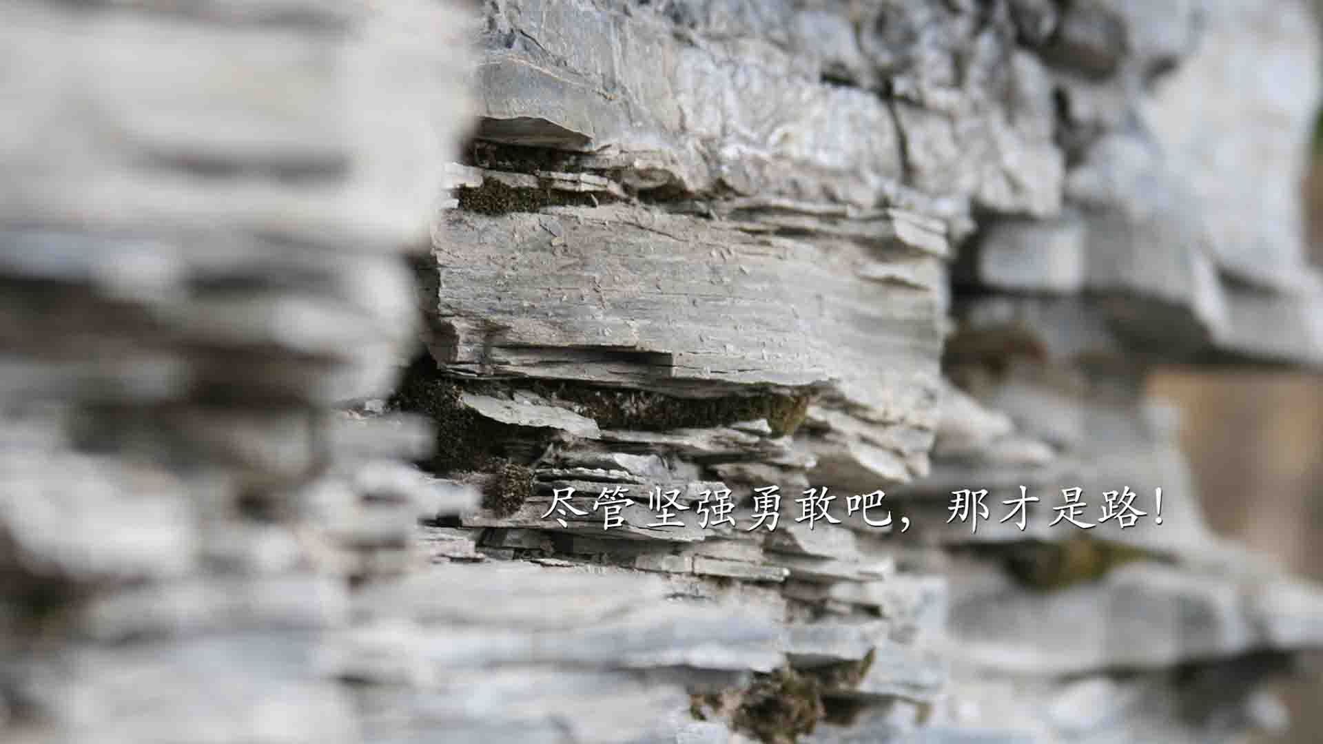 开云体育平台APP-姆巴佩披上罗马尼亚战袍？控球风暴下的关键一战—世界杯积分战见证东方横扫与巨星独舞
